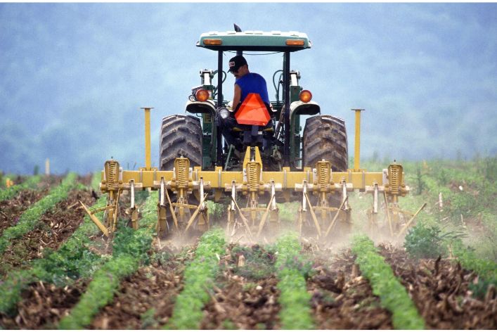 Investing in Agriculture in Nigeria: A Hidden Gem