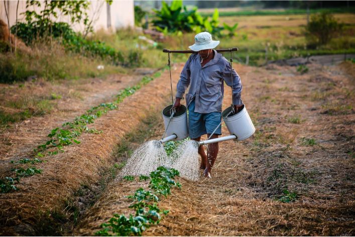 Investing in Agriculture in Nigeria: A Hidden Gem